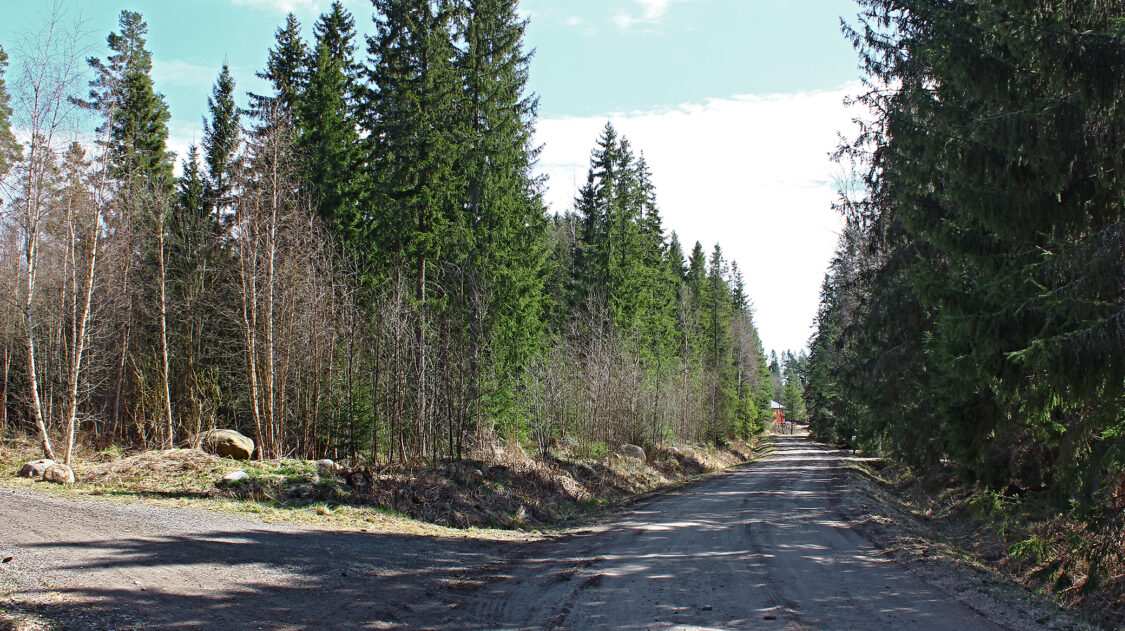 mäkikallion alue