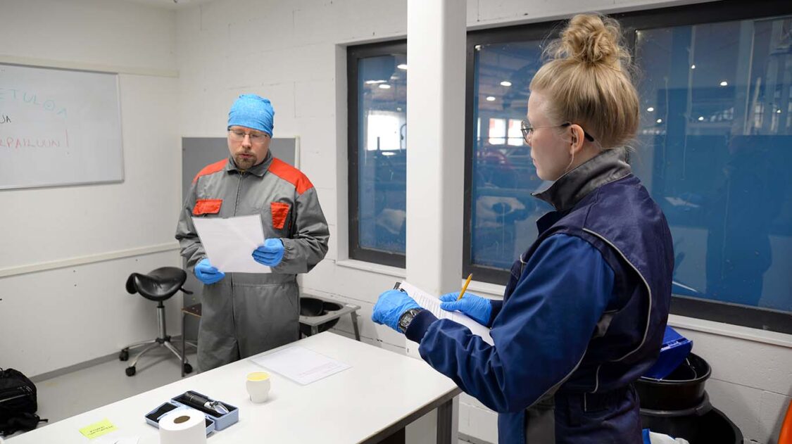Sedun lomittajakilpailu1