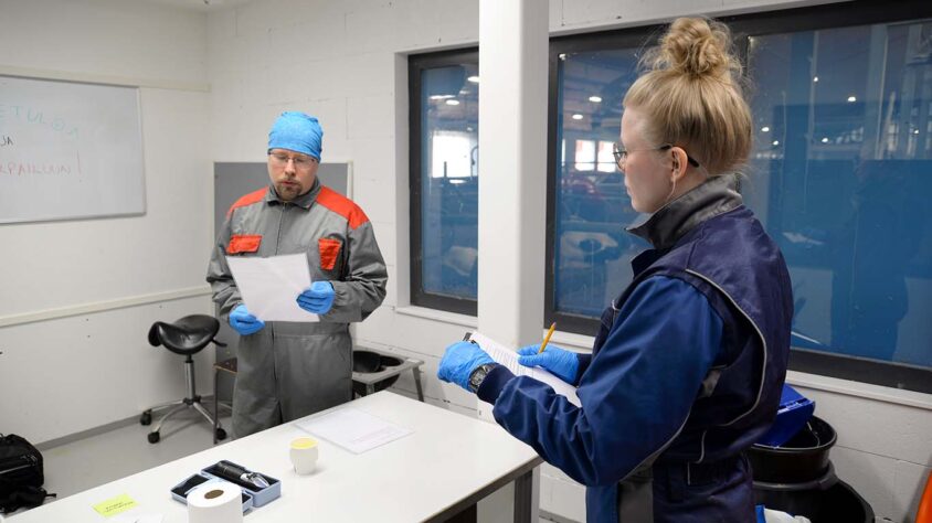 Sedun lomittajakilpailu1
