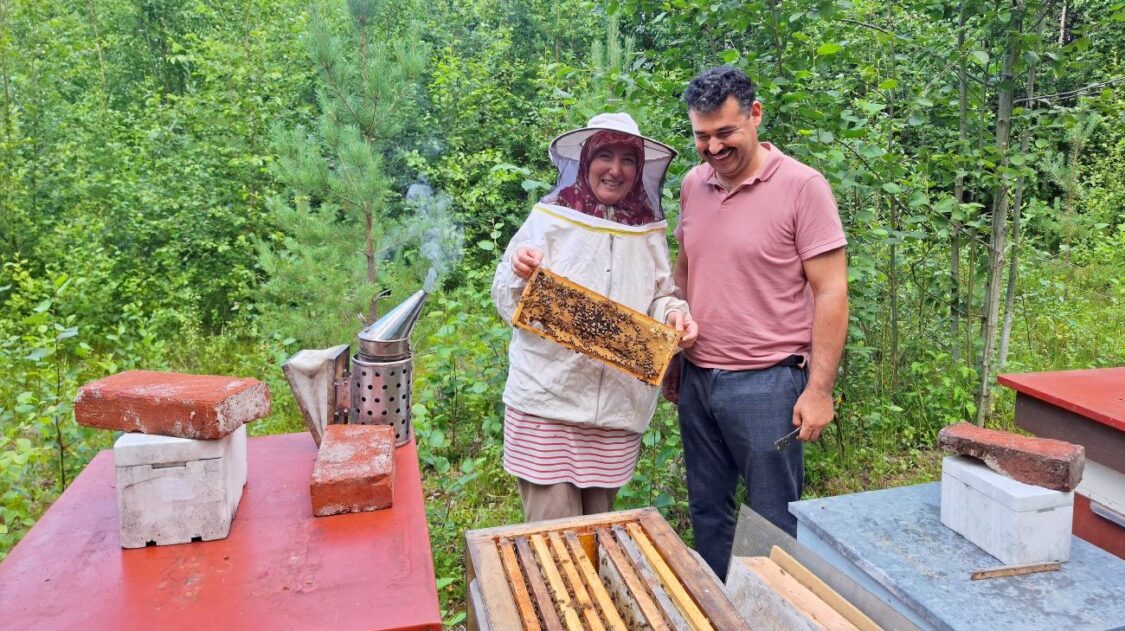 Mehiläiskuva uusiksi