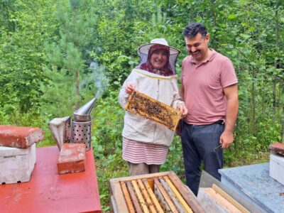 Mehiläiskuva uusiksi