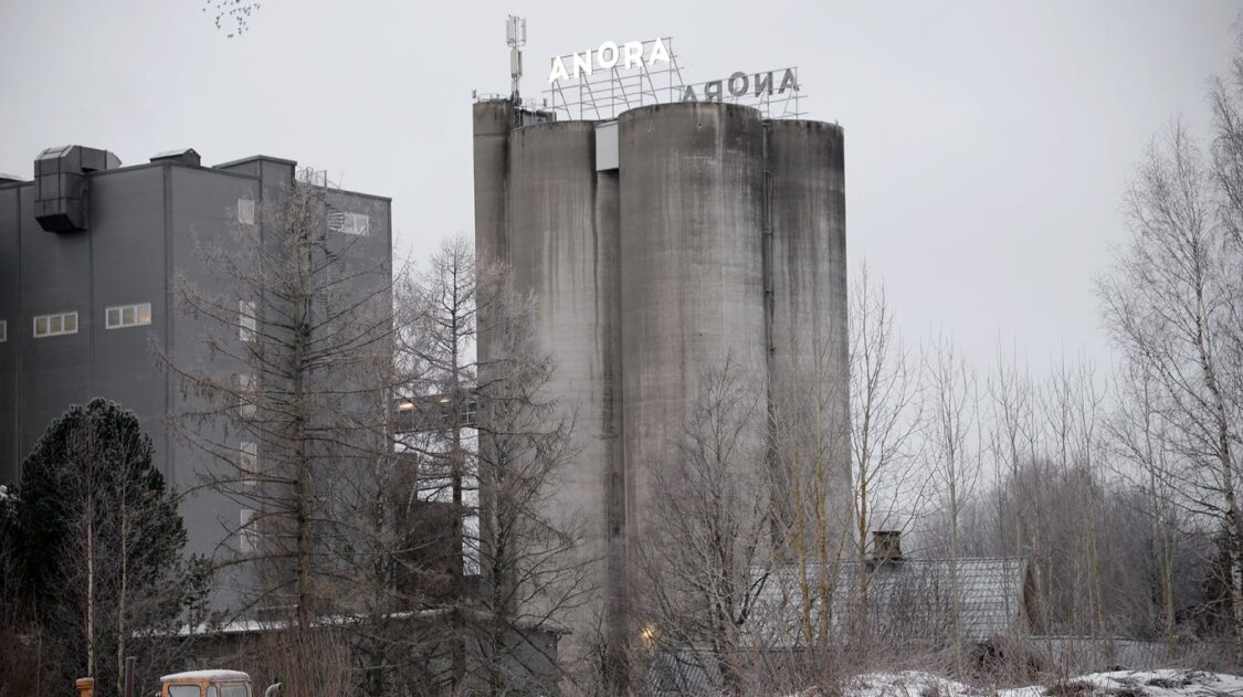 Anora tammikuu 2025