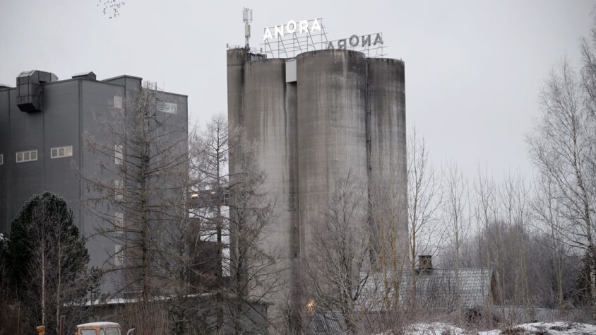 Anora tammikuu 2025