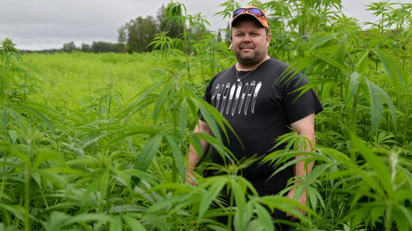 Anssi Rinne kuituhamppu1