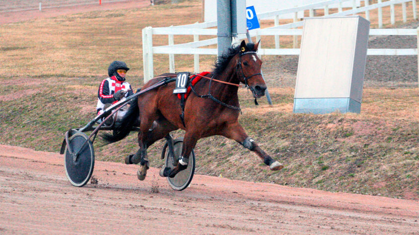 Cameron Wake ja Katja Luoma Seinäjoki 27.4.2024 2 Kuva Vesa Rauhala