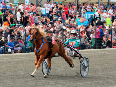 Enon Vilppi Kuninkuusraveissa 2024, Kuva Vesa Rauhala