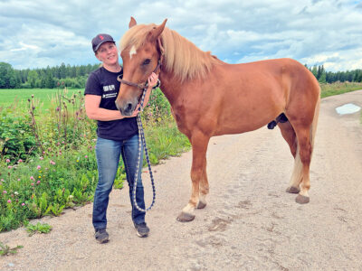Enon Vilppi kuninkuusraveihin kuva Vesa Rauhala