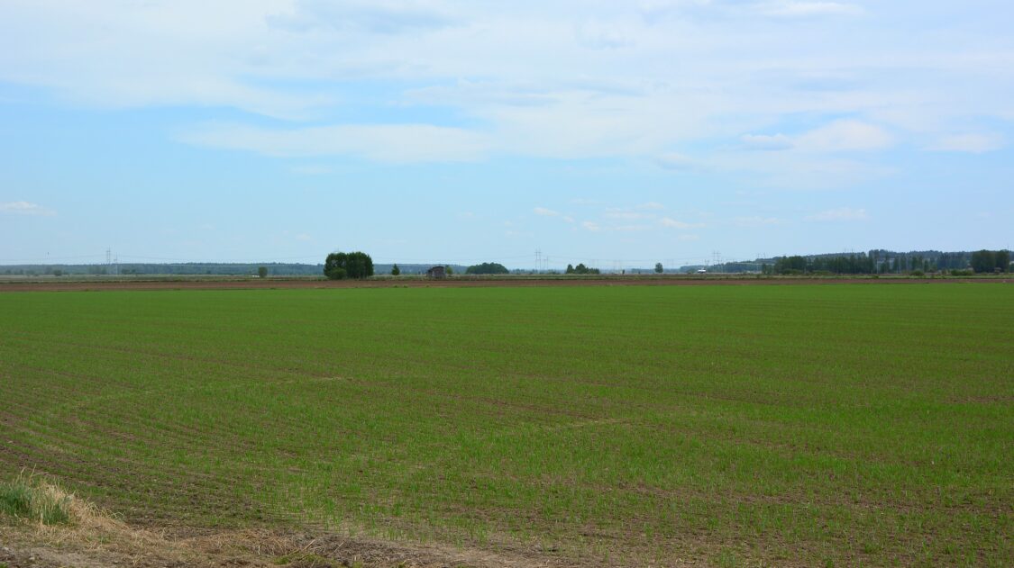 Ilmatar tuulivoimapuistot kuva Alajoelta 29052024