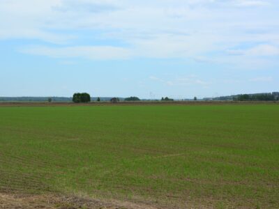 Ilmatar tuulivoimapuistot kuva Alajoelta 29052024