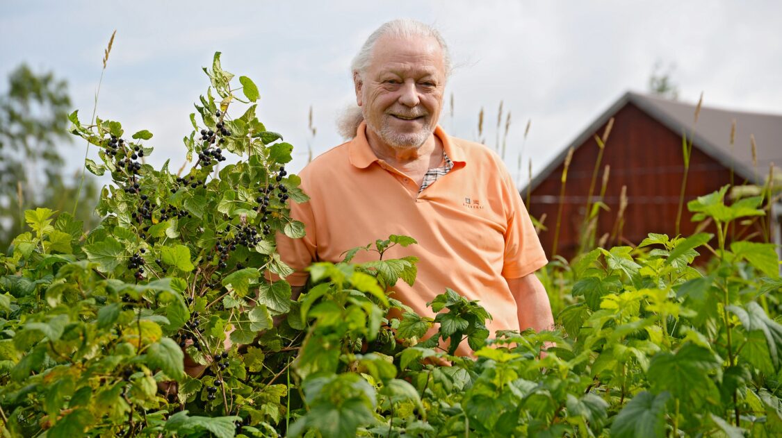 Jaakko Tuomilehto