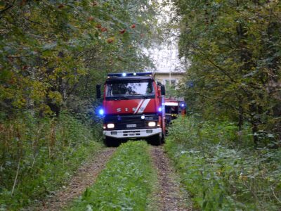 Maurion kartanon palo