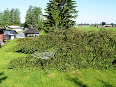 Myrsky Huhtimäentiellä