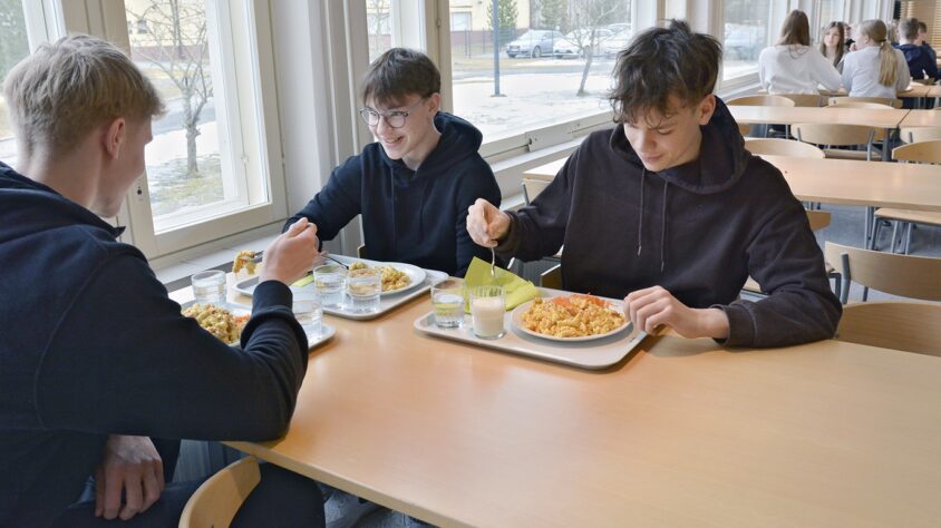 Kuntalaisaloite ultraprosessoitu ruoka